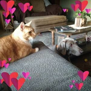 Meet your Posher, Sheila